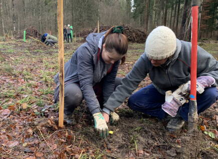 waldlabor_moet_hennesy4.jpg waldlabor_moet_hennesy4.jpg