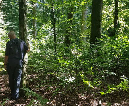 pan_www_nr_wald_und_gesundheit.jpg pan_www_nr_wald_und_gesundheit.jpg