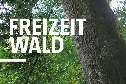 freizeitwald.jpg freizeitwald.jpg