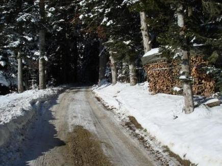 Interne Seite: Zukunftsvorstellung Privatwald