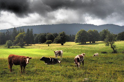 schluesselgroessen-schweizer-naturpaerke.jpg