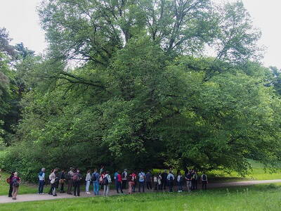 formation_continue_foret_international.jpg formation_continue_foret_international.jpg
