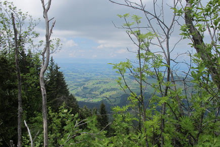 naturpark-gantrisch.jpg naturpark-gantrisch.jpg