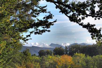 waldwertschaetzung-belp1.jpg waldwertschaetzung-belp1.jpg